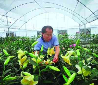 什么植物自制化妆品(什么植物自制化妆品最好)