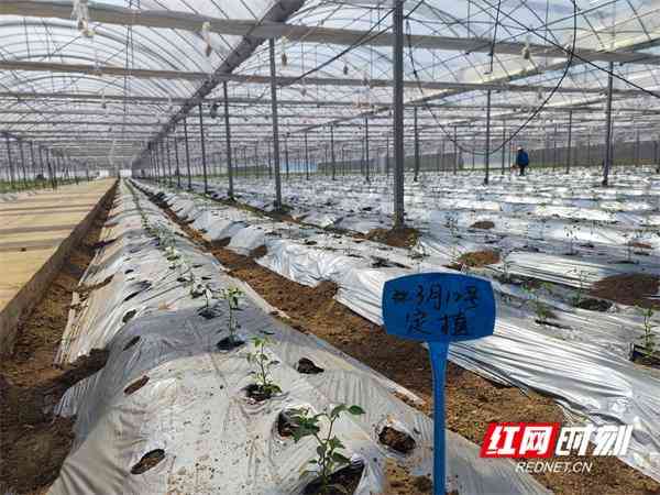 众源化妆品是正品吗(众源化妆品是正品吗知乎)