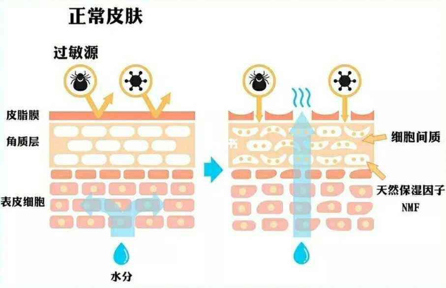 用化妆品脸疼怎么回事(这两天用化妆品脸上疼怎么回事)