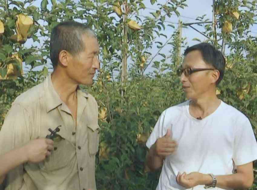 化妆品果本五件套(化妆品果本是哪里的产地)