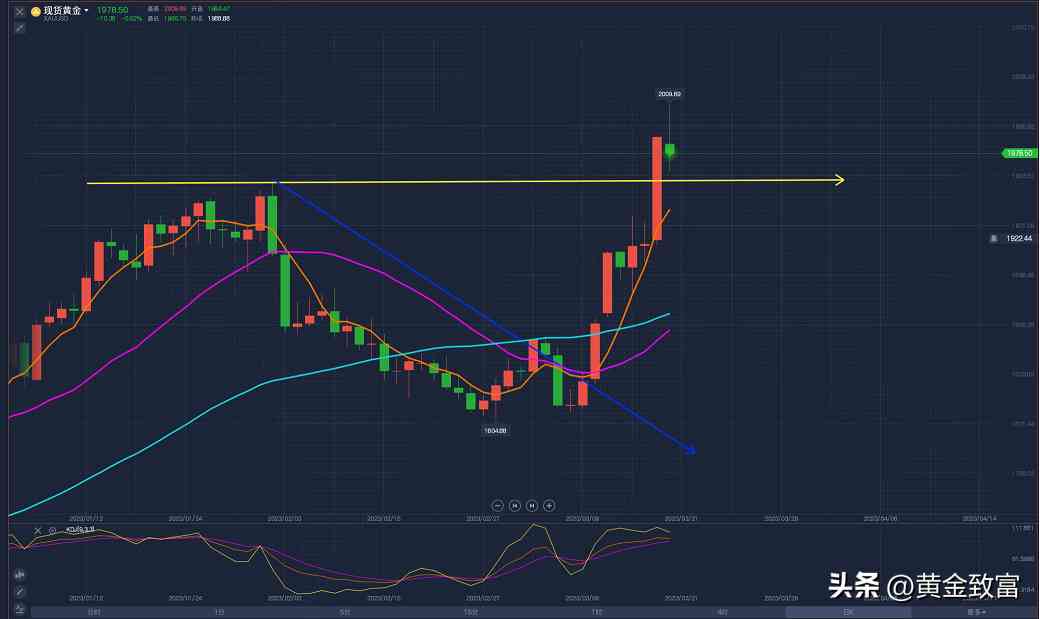主权基金今日黄金价格(主权基金今日黄金价格走势)