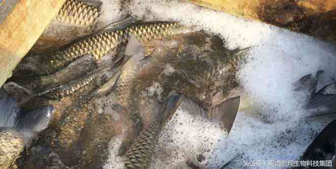 湖北仙桃商城今日金价(湖北仙桃商城今日金价查询)