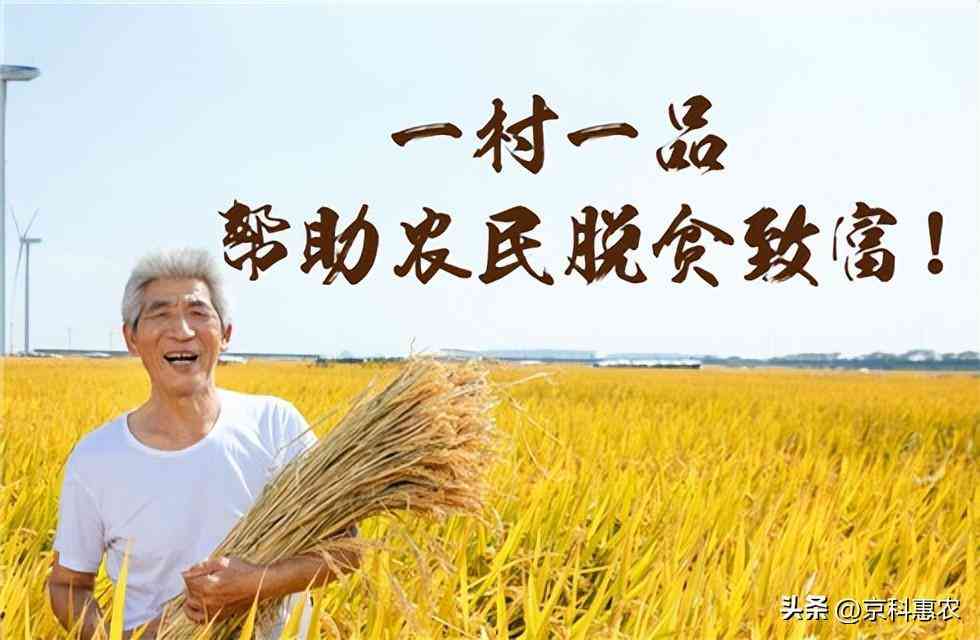 辽源宇泰黄金价格今日查询(辽源宇泰黄金价格今日查询表)