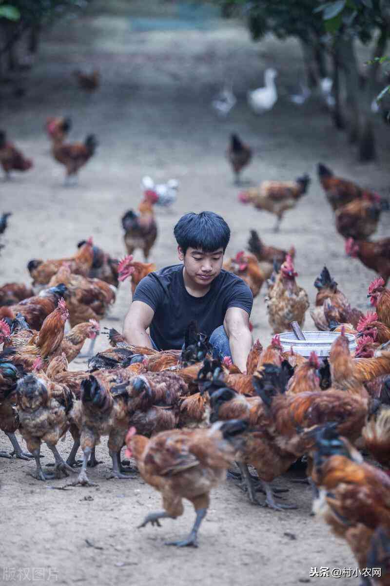 今日金价二零二一年五月四(今日金价2021年5月16日)