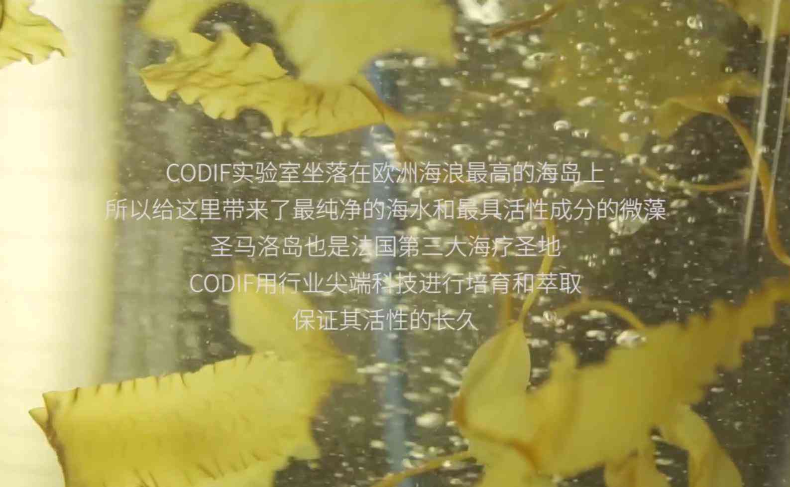 连云港运输韩国化妆品(连云港港口化妆品能买吗)