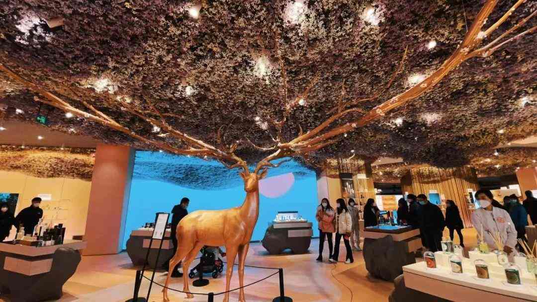 石家庄有化妆品厂嘛在哪(河北石家庄有多少化妆品公司)