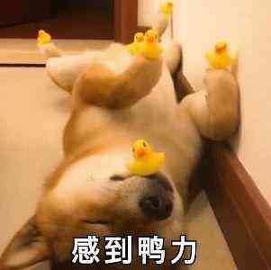 谷雨化妆品可靠吗(谷雨化妆品有限公司)