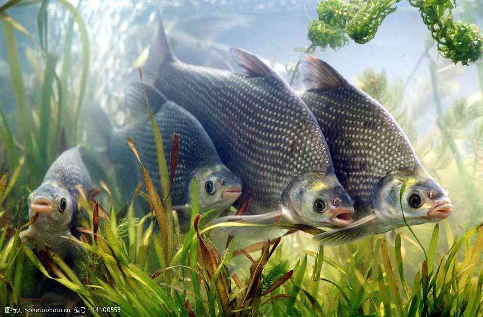 珍采蜜酿化妆品怎么样(珍蜜堂价格表)