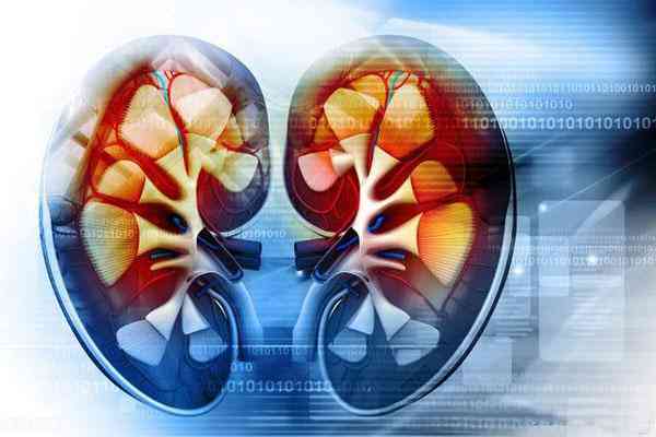 美白化妆品真的有效吗(美白化妆品真的能美白皮肤吗?)