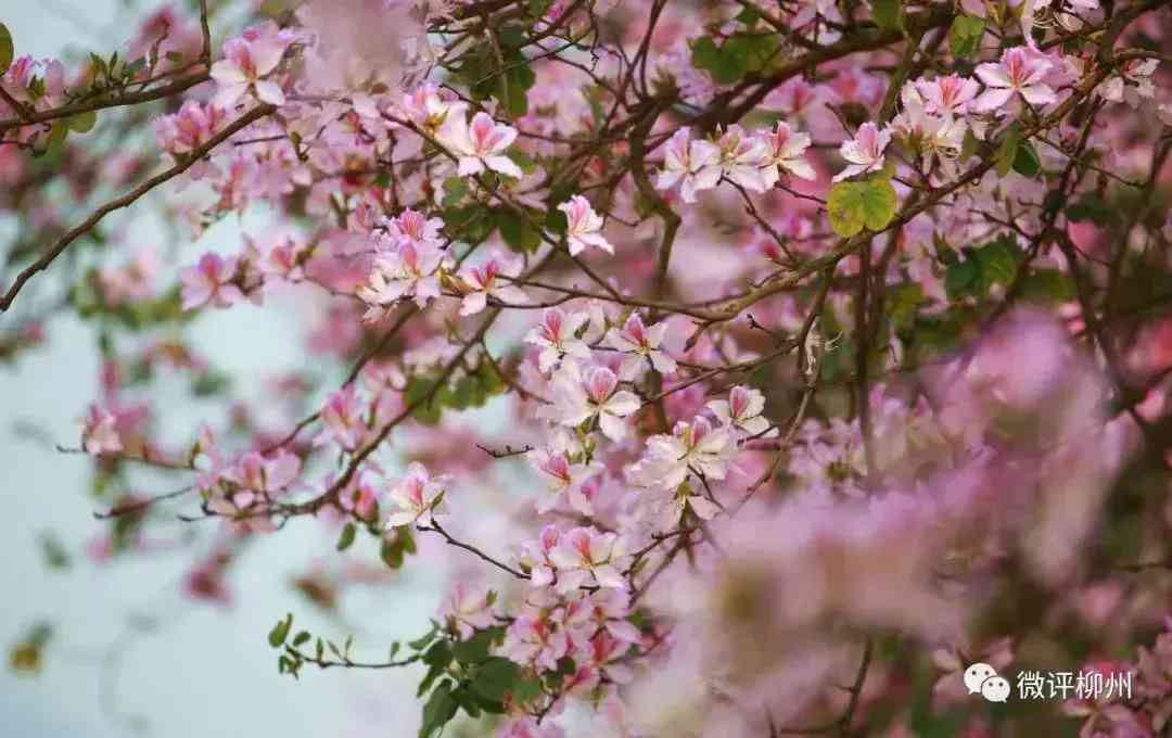 模特化妆品文案图片(化妆品模特照片大全图片)