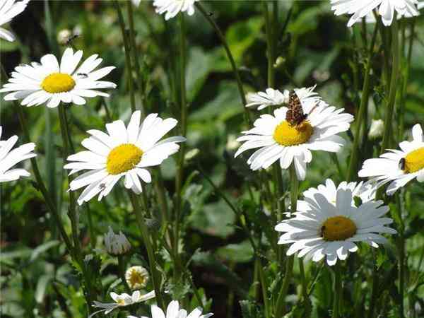 妈妈自己给孩子化妆品吗(妈妈帮孩子化妆)