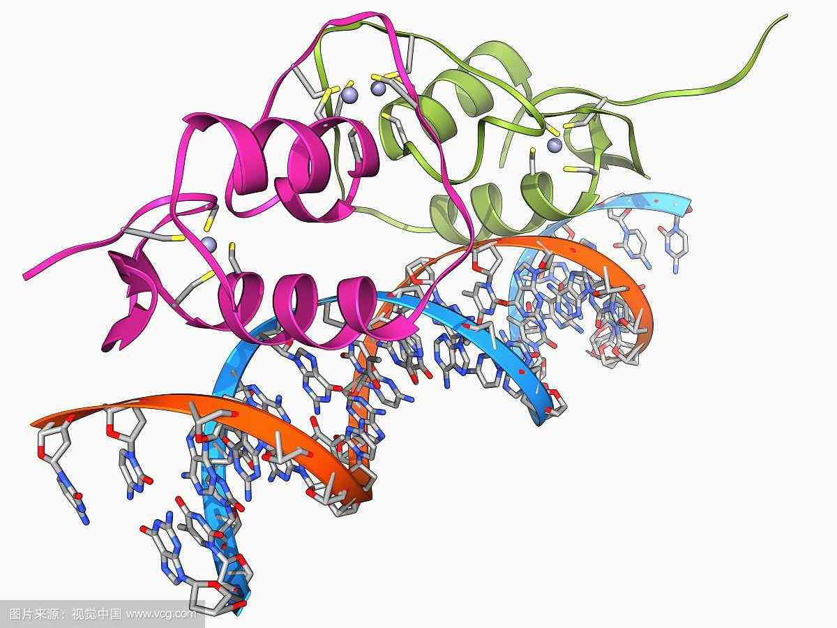 化妆品怎么看有没有雌激素(化妆品如何看有没有激素)