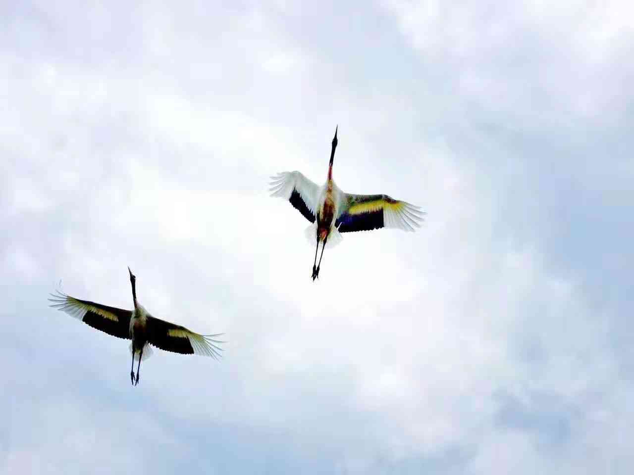 靓妃代理化妆品(靓妃化妆品适合年龄)