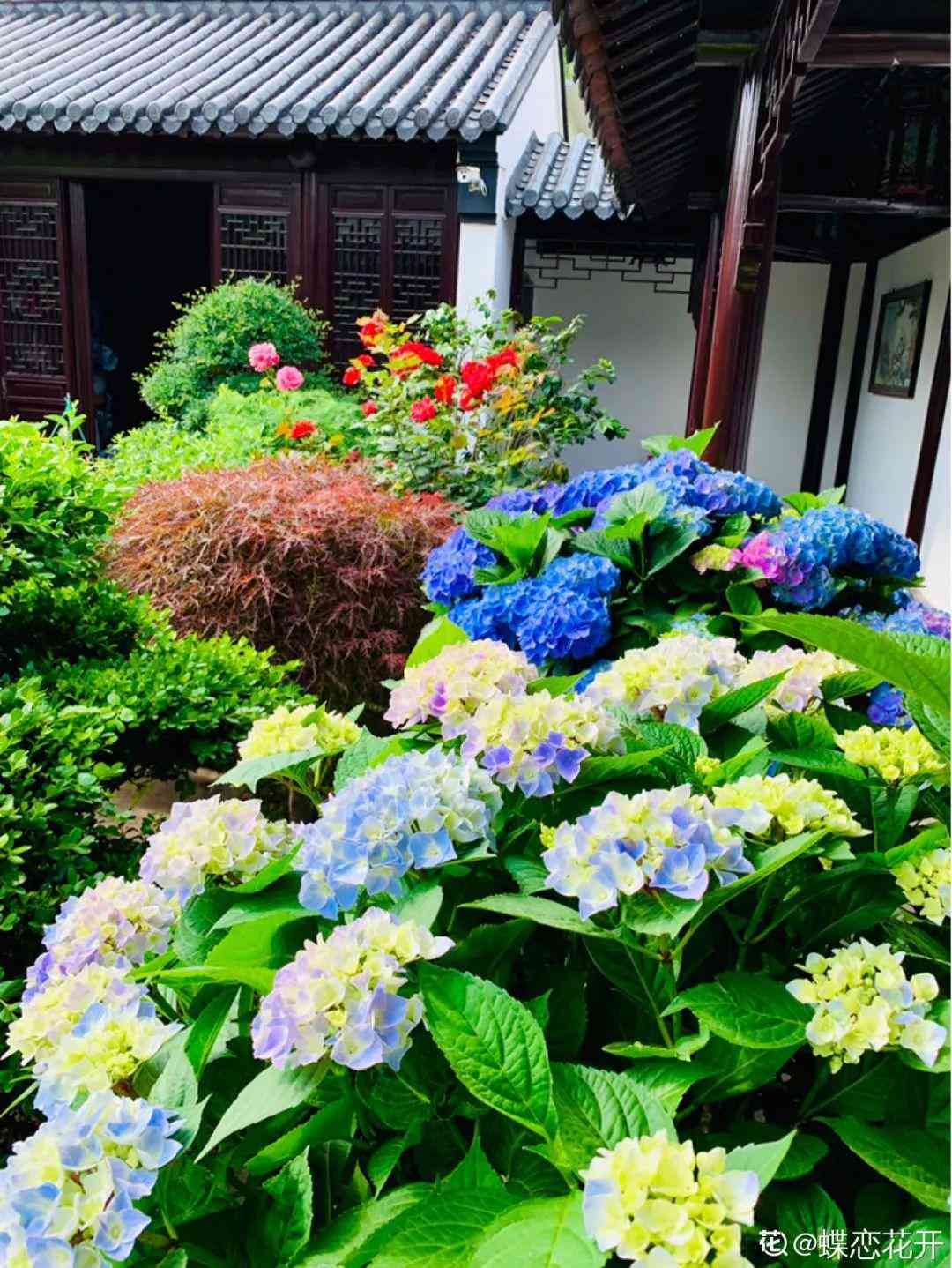 好看的化妆品小空瓶怎么用(化妆品空瓶怎么洗干净)