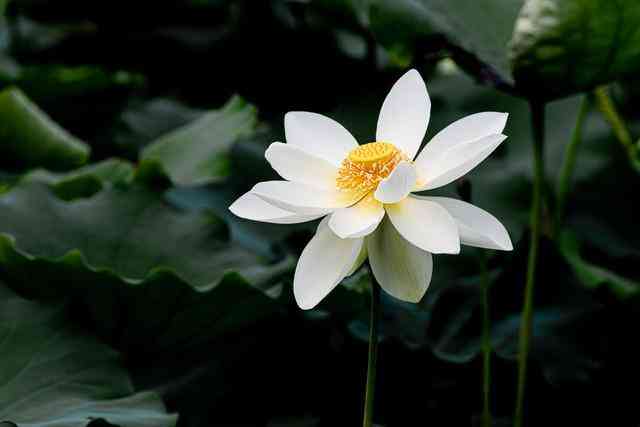 结婚礼物送什么好(送女性朋友结婚礼物送什么好)