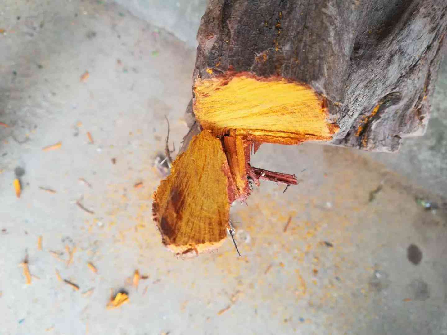 玉石原石鉴别最简单方法如下(玉石原石图片)