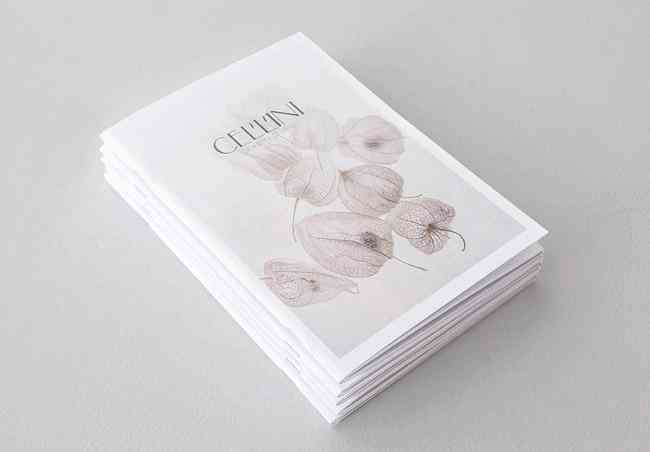 戴梦得珠宝品牌简介(戴梦得珠宝是谁开的 影帝)