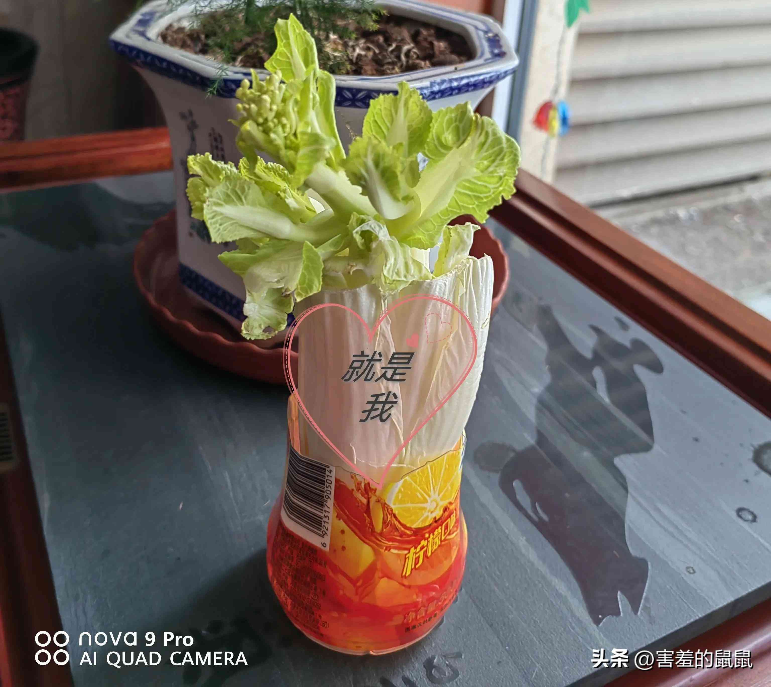 女生生日送啥礼物好(女生生日送啥礼物好12岁)