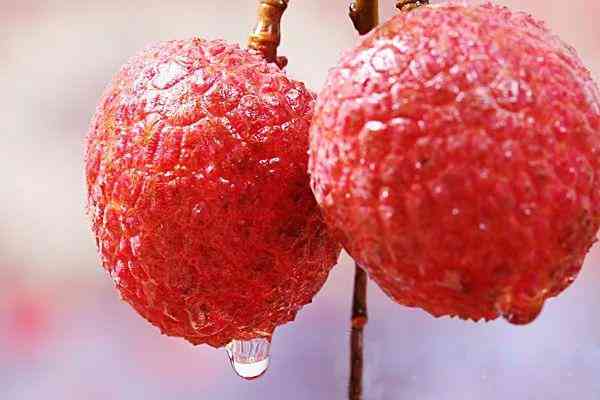 浦北今日金价回收多少一克(浦江黄金回收)