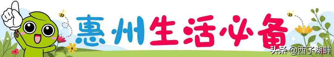 惠东县今日黄金价格(惠州今日金价多少钱一克)