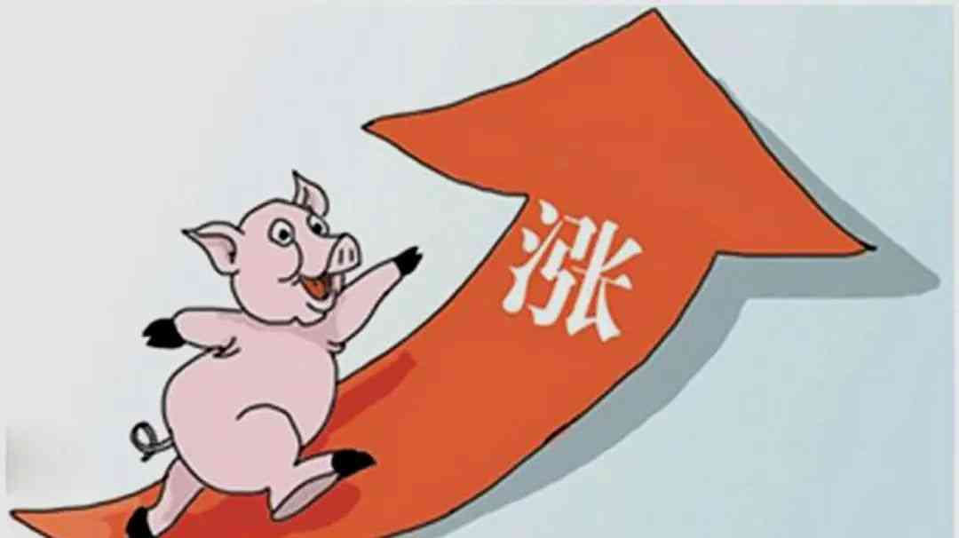 霸州今日黄金金价走势图(霸州黄金多少钱一克2020年)