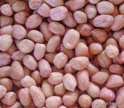 今日方城金价消息(方城金价格)