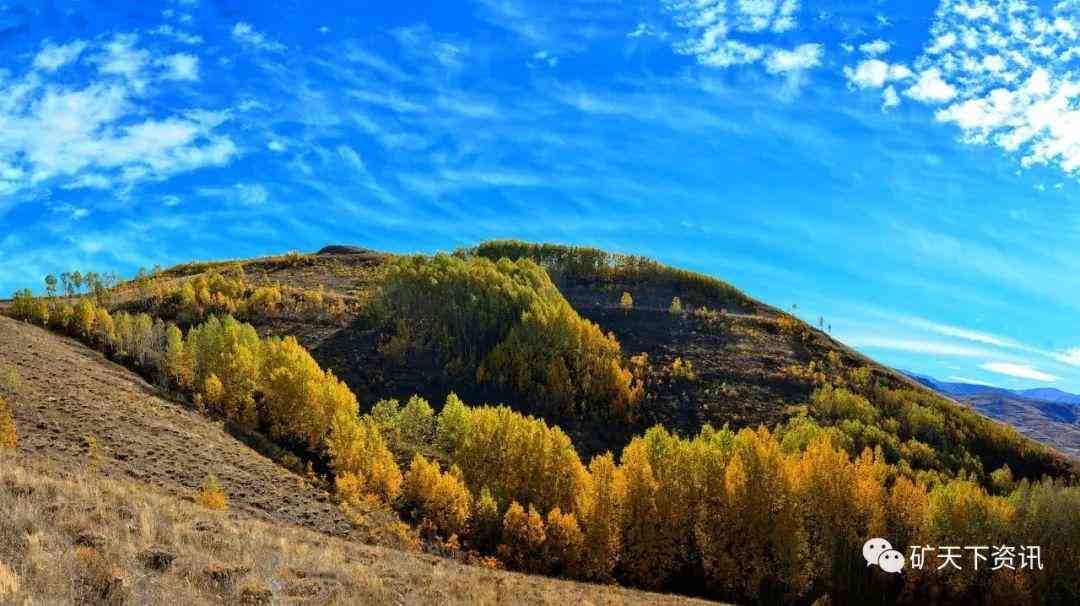 嵩县今日金价成品价(嵩县金价多少一克)