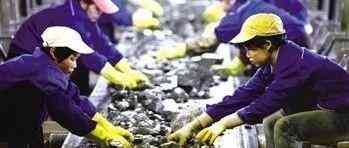 金属钛合金价格今日价格(钛合金价格走势图)