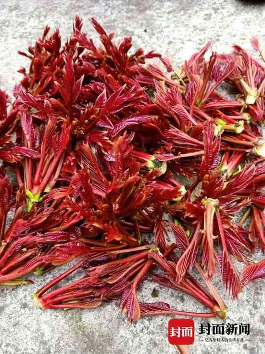 今日大竹黄金价格(重庆大足黄金价格)