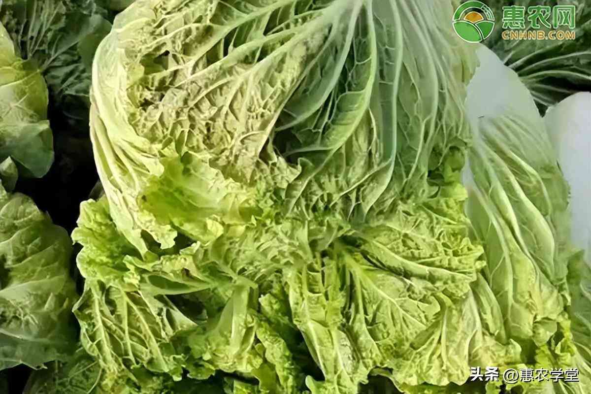 滕州今日金价查询价格(滕州金店价格)