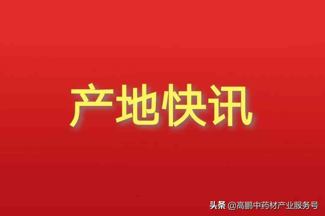 安徽省太和县今日金价查询(太和黄金回收价格)