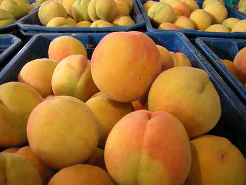 今日黄金价格黄金黄桃价格(黄桃价格表)