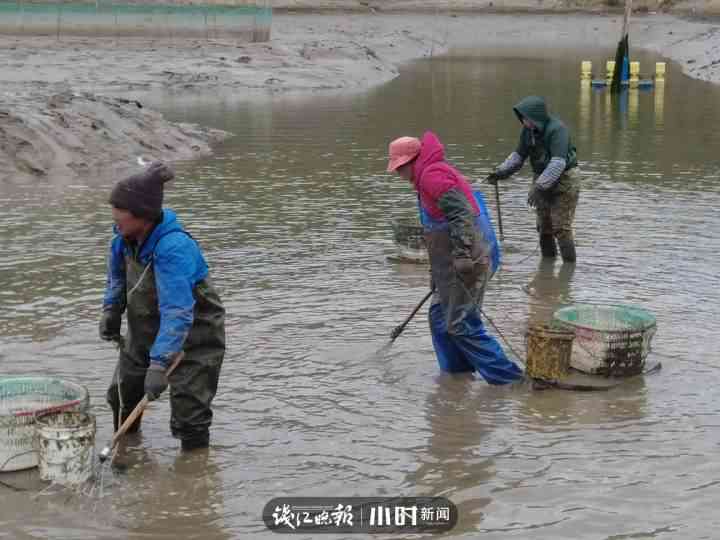 宁波今日金价价格(今日宁波黄金饰品价格)