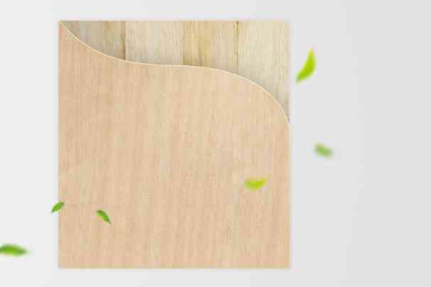 从三无企业到上市公司——丁鸿敏的创业故事 从三无企业到上市公司——丁鸿敏的创业故事