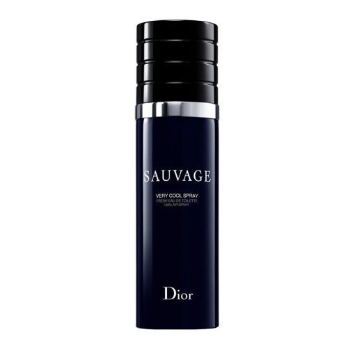 DIOR/迪奥 旷野男士劲酷淡香水喷雾100ml