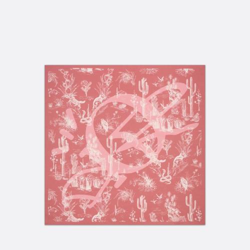  DIOR迪奥 22年秋冬 男士 围巾 CACTUS JACK DIOR 饰巾 28B1090B0662_C480