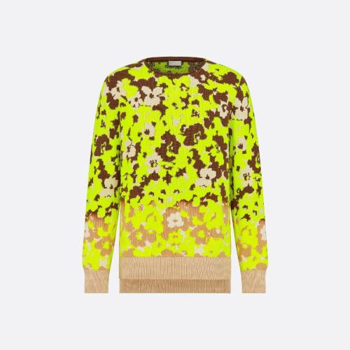  DIOR迪奥 22年秋冬 男士 针织衫 针织衫 283M652AT254_C182