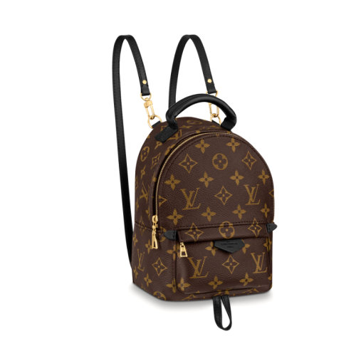 Louis Vuitton/路易威登 小书包 女士 老花色  帆布/配皮 棕