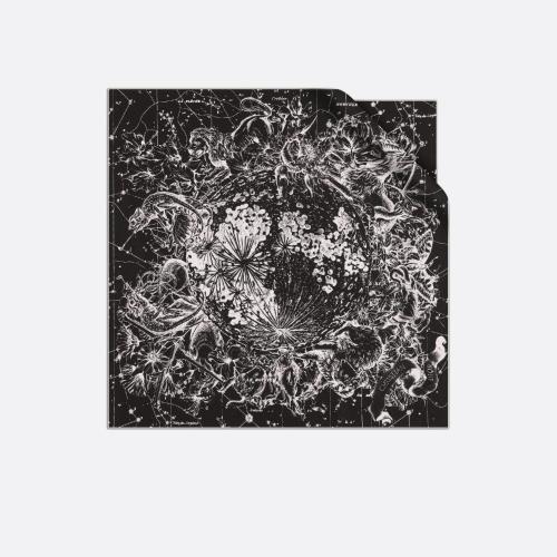  DIOR迪奥 22年秋冬 女士 丝巾 Dior 印花方巾 15ZOD055I607_C900 预定商品1-3周发货