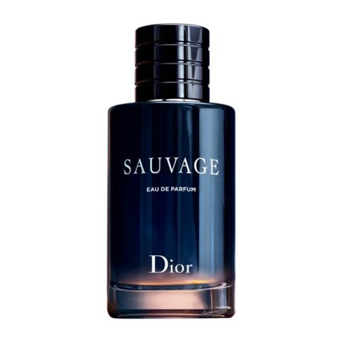 DIOR/迪奥迪奥旷野男士香水60ml/100ml