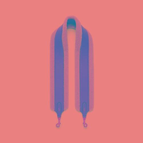  CELINE赛琳思琳 22年秋冬 女士 肩带 羊毛革和牛皮革长肩带 49S033AEQ.02NT