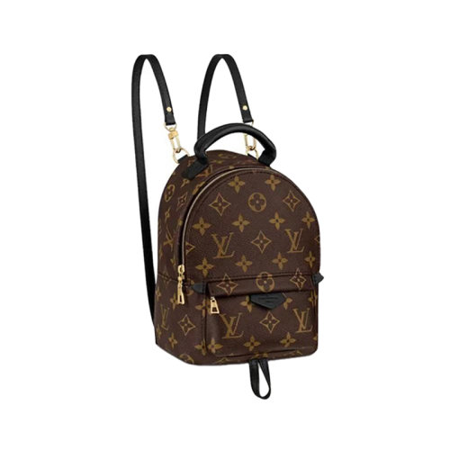 Louis Vuitton/路易威登 老花mini双肩包明星同款单肩斜挎包多功能小书包