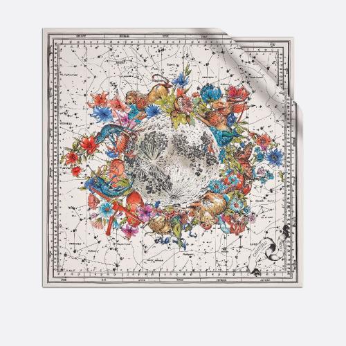  DIOR迪奥 22年秋冬 女士 丝巾 Dior 印花方巾 15ZOD090I607_C800 预定商品1-3周发货