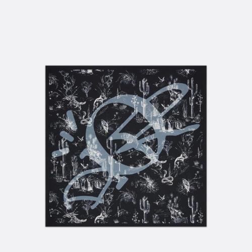  DIOR迪奥 22年秋冬 男士 围巾 CACTUS JACK DIOR 饰巾 28B1090B0662_C585