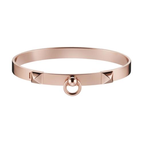  HERMES爱马仕 22年秋冬 女士 手镯 Bracelet Collier de chien， petit modele H214435B 00ST