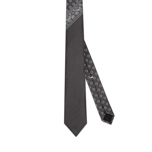 DIOR/迪奥 22年早春新款 男士灰色桑蚕丝饰巾图案领带28C1047A0636_C888