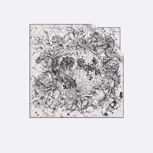  DIOR迪奥 22年秋冬 女士 丝巾 Dior 印花方巾 15ZOD055I607_C011 预定商品1-3周发货