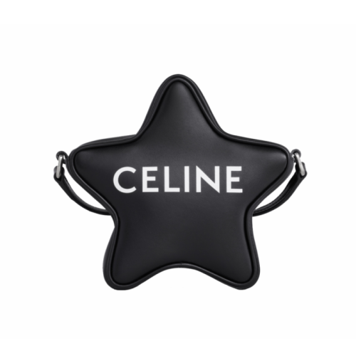 CELINE/赛琳 Etoile 印花牛皮单肩包 斜挎包 198763DW3