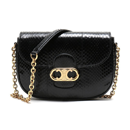 CELINE/赛琳 女士皮质单肩斜挎包 191344BUO