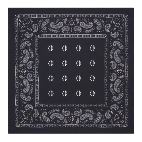 DIOR/迪奥 22年春夏新款 男士海军蓝和白色纯棉印花方巾围巾手帕28B1060B0643_C585